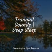 Tranquil Sounds | Deep Sleep