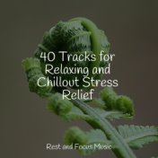 40 Tracks for Relaxing and Chillout Stress Relief