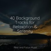 40 Background Tracks for Relaxation & Serenity