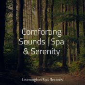 Comforting Sounds | Spa & Serenity