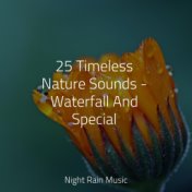 25 Timeless Nature Sounds - Waterfall And Special