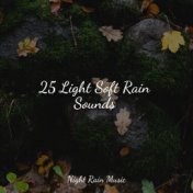 25 Light Soft Rain Sounds