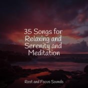 35 Songs for Relaxing and Serenity and Meditation