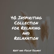 40 Inspiriting Collection for Relaxing and Relaxation