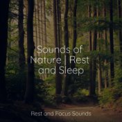 Sounds of Nature | Rest and Sleep