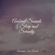 Ambient Sounds | Sleep and Serenity