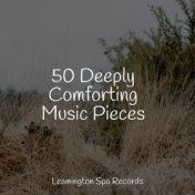 50 Deeply Comforting Music Pieces