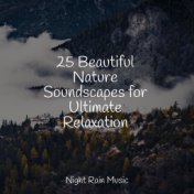 25 Beautiful Nature Soundscapes for Ultimate Relaxation
