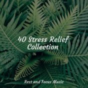 40 Stress Relief Collection