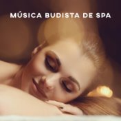 Música Budista De Spa: Massagem Holística, Reiki, Meditação Curativa, Tratamentos De Spa