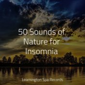 50 Sounds of Nature for Insomnia