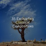 35 Enchanting Classical Compositions