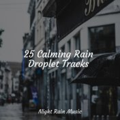 25 Calming Rain Droplet Tracks