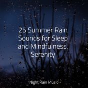 25 Summer Rain Sounds for Sleep and Mindfulness, Serenity