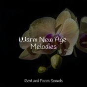 Warm New Age Melodies