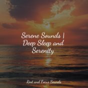 Serene Sounds | Deep Sleep and Serenity