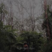 25 Gentle Rain Tracks