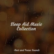 Sleep Aid Music Collection