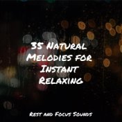 35 Natural Melodies for Instant Relaxing