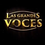 Las Grandes Voces Del Mariachi