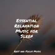 Essential Relaxation Music for Sleep