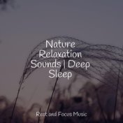 Nature Relaxation Sounds | Deep Sleep