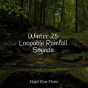 Winter 25 Loopable Rainfall Sounds