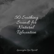 50 Soothing Sounds for Natural Relaxation