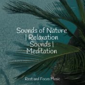 Sounds of Nature | Relaxation Sounds | Meditation