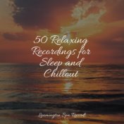 50 Relaxing Recordings for Sleep and Chillout