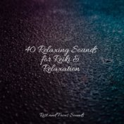 40 Relaxing Sounds for Reiki & Relaxation