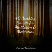 40 Soothing Sounds for Meditation & Meditation