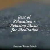 Best of Relaxation - Relaxing Music for Meditation
