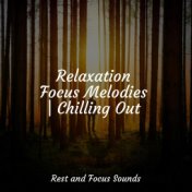 Relaxation Focus Melodies | Chilling Out