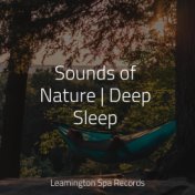 Sounds of Nature | Deep Sleep