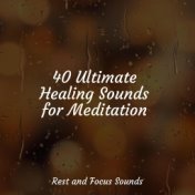 40 Ultimate Healing Sounds for Meditation