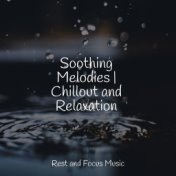 Soothing Melodies | Chillout and Relaxation