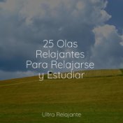 25 Olas Relajantes Para Relajarse y Estudiar