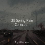 25 Spring Rain Collection