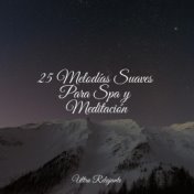 25 Melodías Suaves Para Spa y Meditación