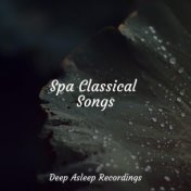 Spa Classical Songs
