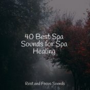 40 Best Spa Sounds for Spa Healing