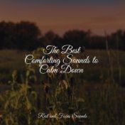 The Best Comforting Sounds to Calm Down