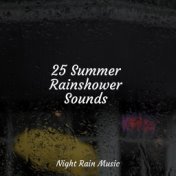 25 Summer Rainshower Sounds