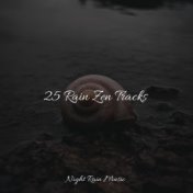 25 Rain Zen Tracks