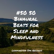 #50 50 Binaural Beats for Sleep and Mindfulness