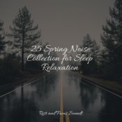 25 Spring Noise Collection for Sleep Relaxation