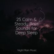 25 Calm & Steady Rain Sounds for Deep Sleep
