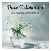 Pure Relaxation: Sleep, Study, Yoga, Meditation, Focus, Zen