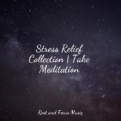 Stress Relief Collection | Take Meditation
